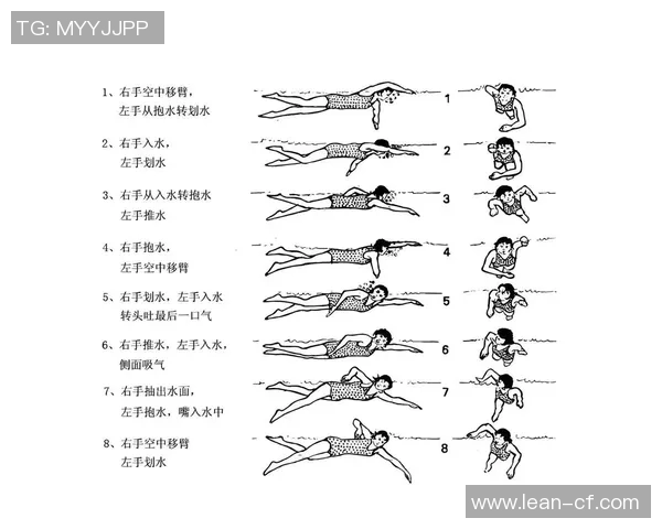高效提升自由泳技巧的系统化训练计划与进阶指南