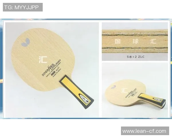 乒乓球新手必读：从零基础到比赛高手的全面入门指南